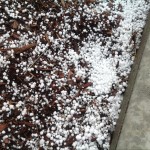 Graupel