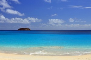 St_Barths-Saline_Beach